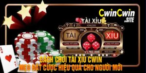 Cách Chơi Tài Xỉu Cwin Mẹo Đặt Cược Hiệu Quả Cho Người Mới